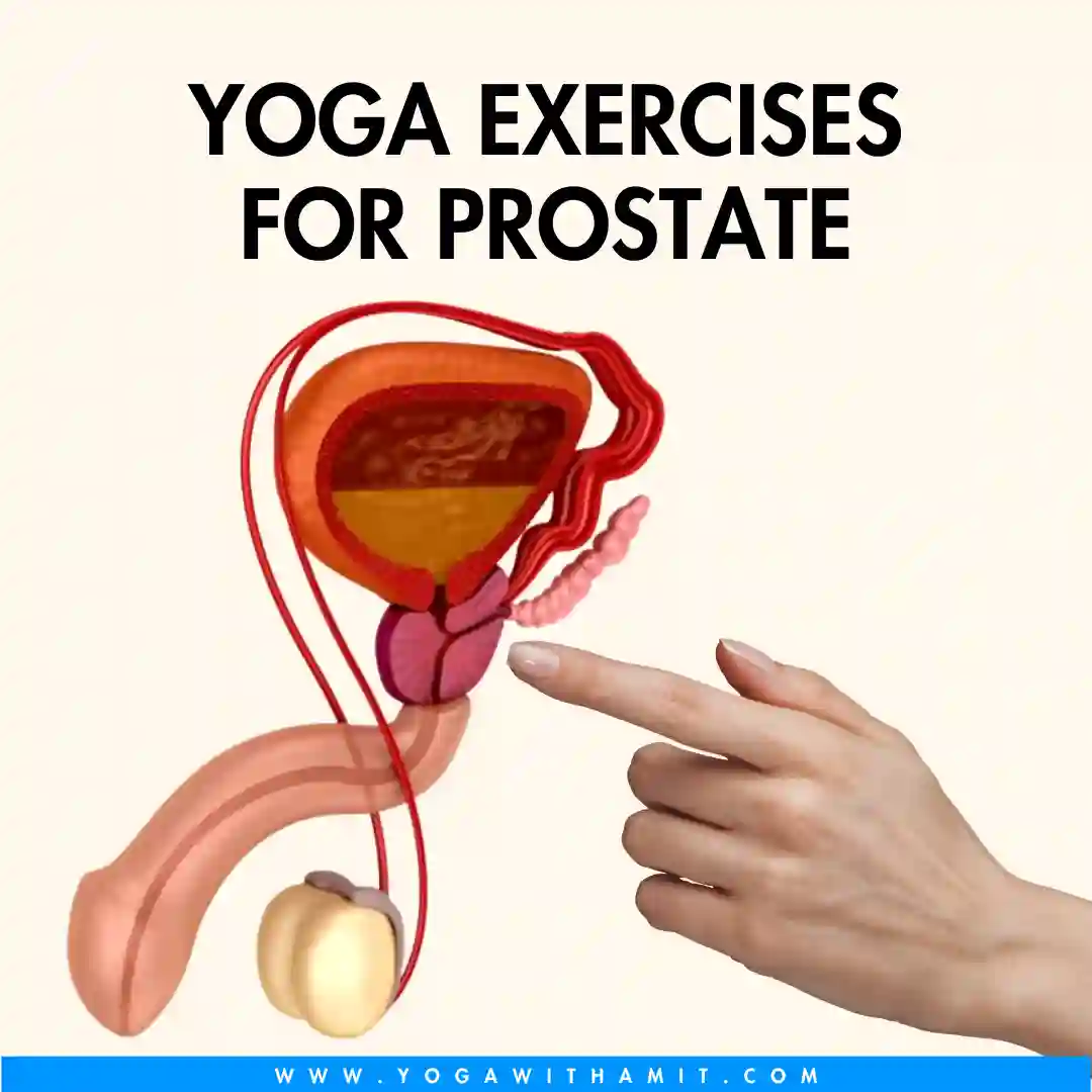 Yoga-Exercises-for-prostate